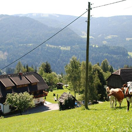 Ferienwohnung Lahnerhof Arriach Екстериор снимка
