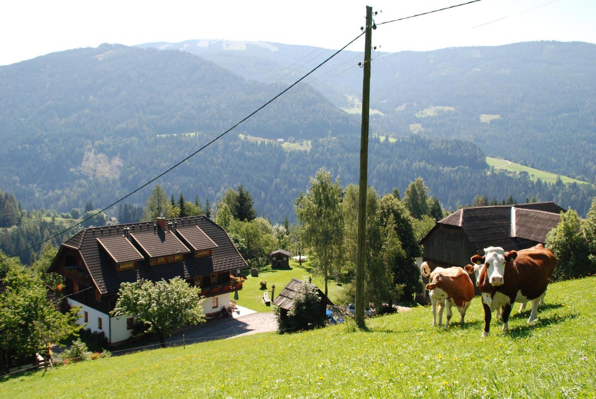 Ferienwohnung Lahnerhof Arriach Екстериор снимка