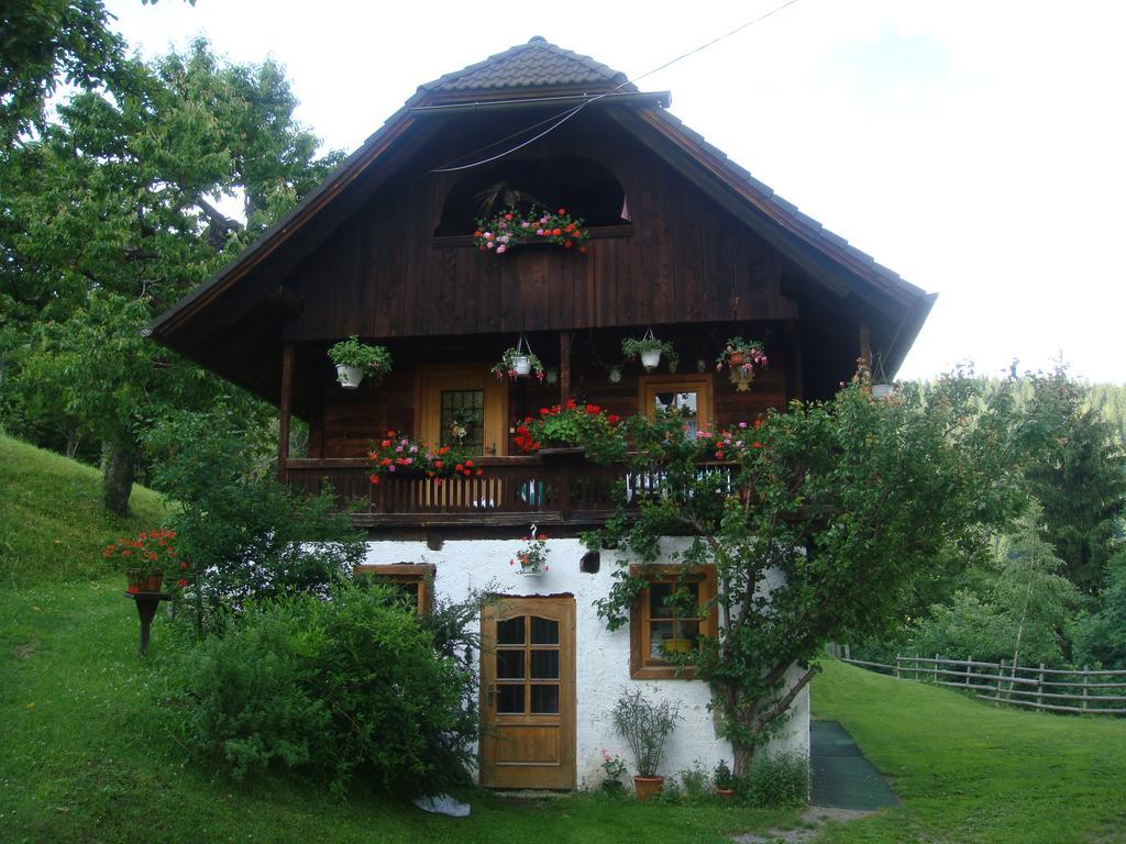 Ferienwohnung Lahnerhof Arriach Екстериор снимка