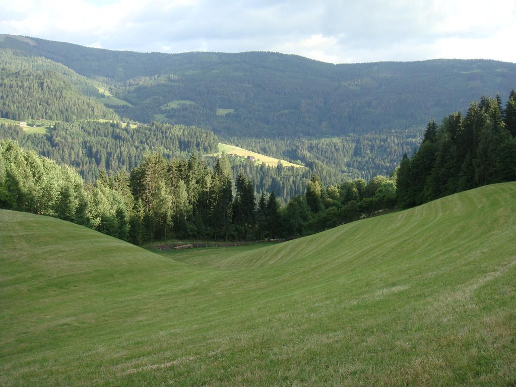 Ferienwohnung Lahnerhof Arriach Екстериор снимка